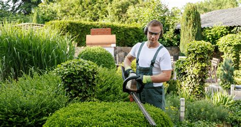 giardiniere asti|Manutenzione giardini: trova contatti di Giardinieri a Asti